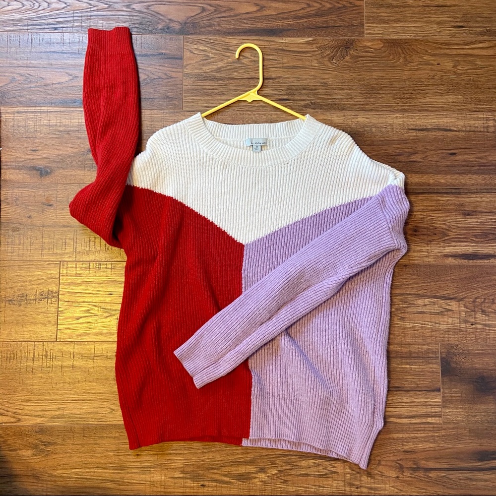 Allison Joy Ever Eve Cozy Colorblock Sweater
